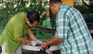 ครอบครัวปศุสัตว์นครปฐม ดำเนินโครงการเฝ้าระวังโรคไข้หวัดนกเชิงรุกแบบบูรณาการของประเทศไทย(ซีรั่มวิทยา) ประจำปีงบประมาณ 2567