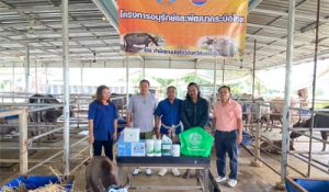 ครอบครัวปศุสัตว์นครปฐม ดำเนินโครงการอนุรักษ์และพัฒนากระบือไทย ประจำปีงบประมาณ 2568